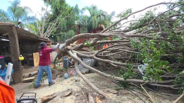 GOBIERNO DE CUAUTLANCINGO MANTIENE ATENCIÓN A AFECTACIONES DERIVADAS DE LA LLUVIA – Entérate Puebla
