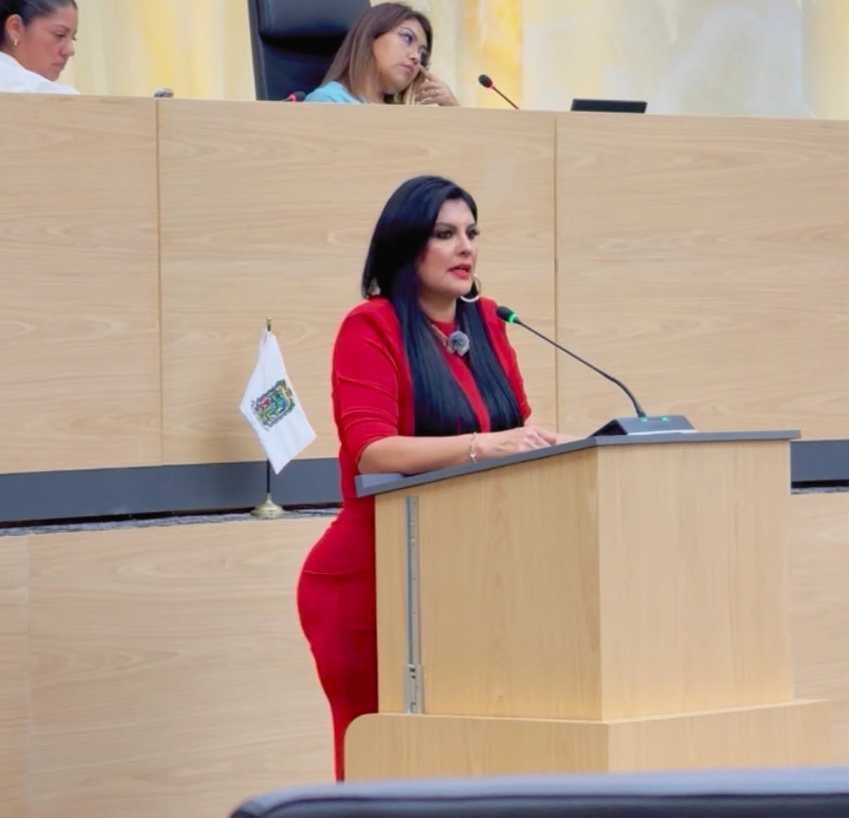 Delfina Pozos presenta queja por presuntas irregularidades en procedimientos legislativos sobre Acatlán, Esperanza y Tepeyahualco