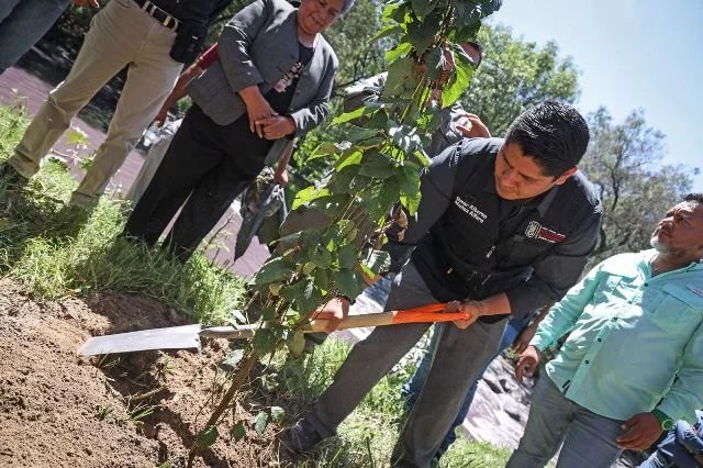 OMAR MUÑOZ FORTALECE RECUPERACIÓN DEL RÍO ATOYAC CON TERCERA JORNADA DE REFORESTACIÓN – Entérate Puebla