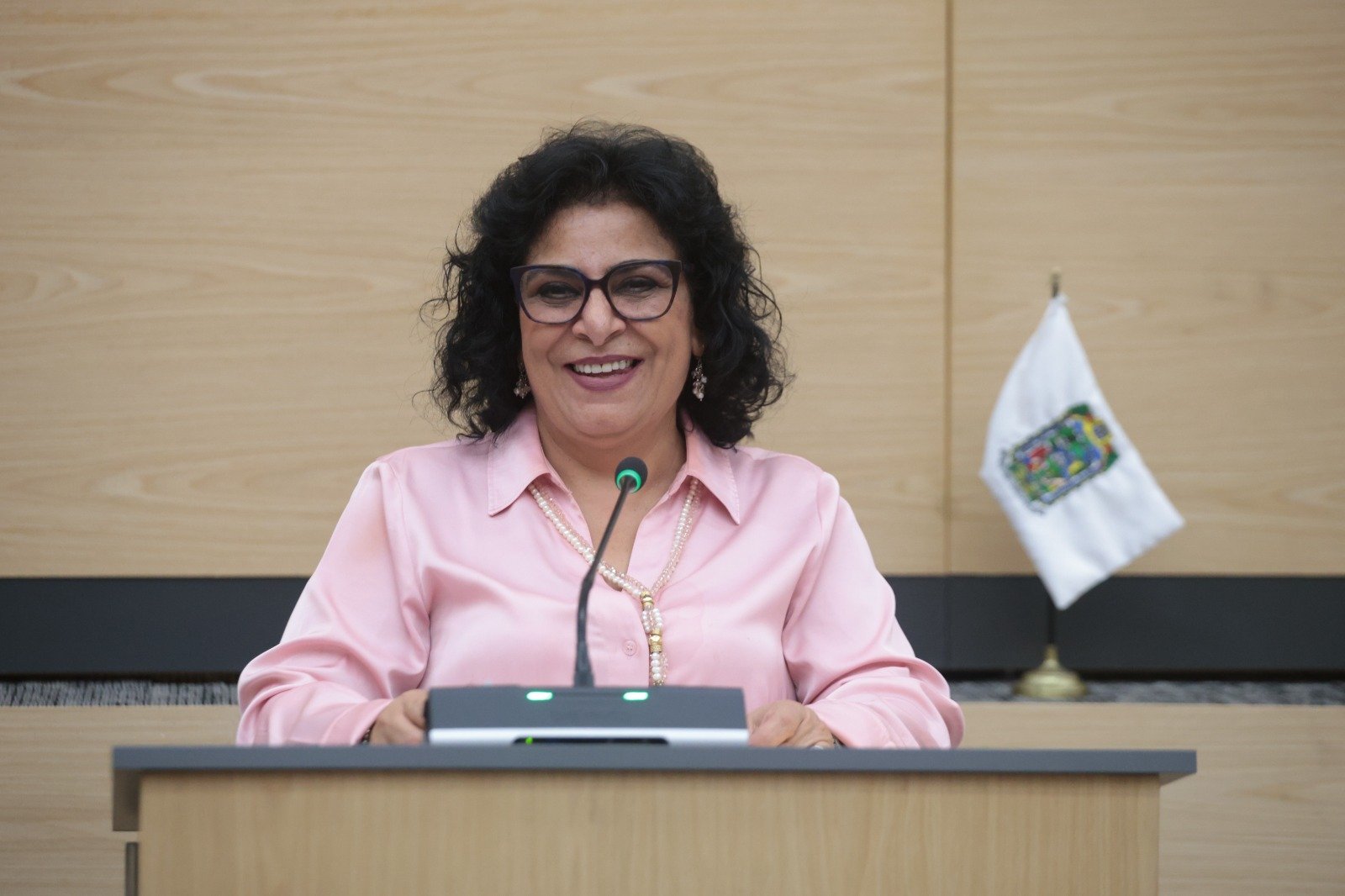 Propone la diputada Guadalupe Yamak Taja establecer sanciones por delitos patrimoniales contra adultos mayores y asociaciones escolares